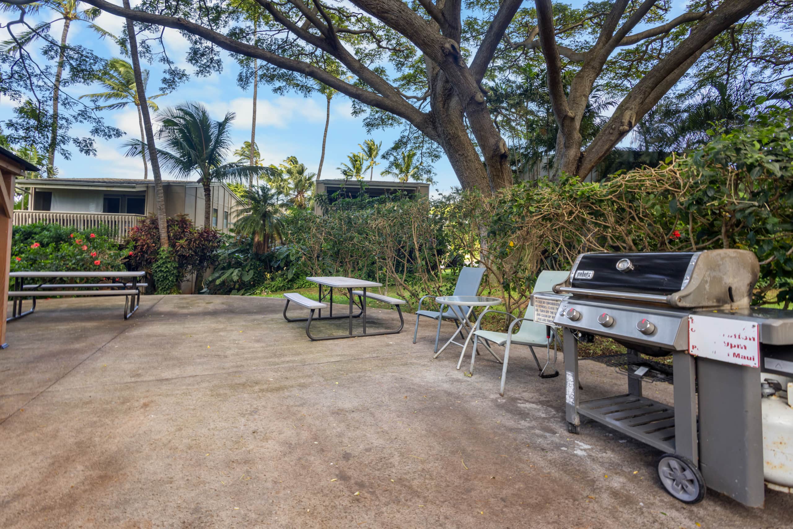 Direct Oceanfront Beach Pohailani Studio - Image 36