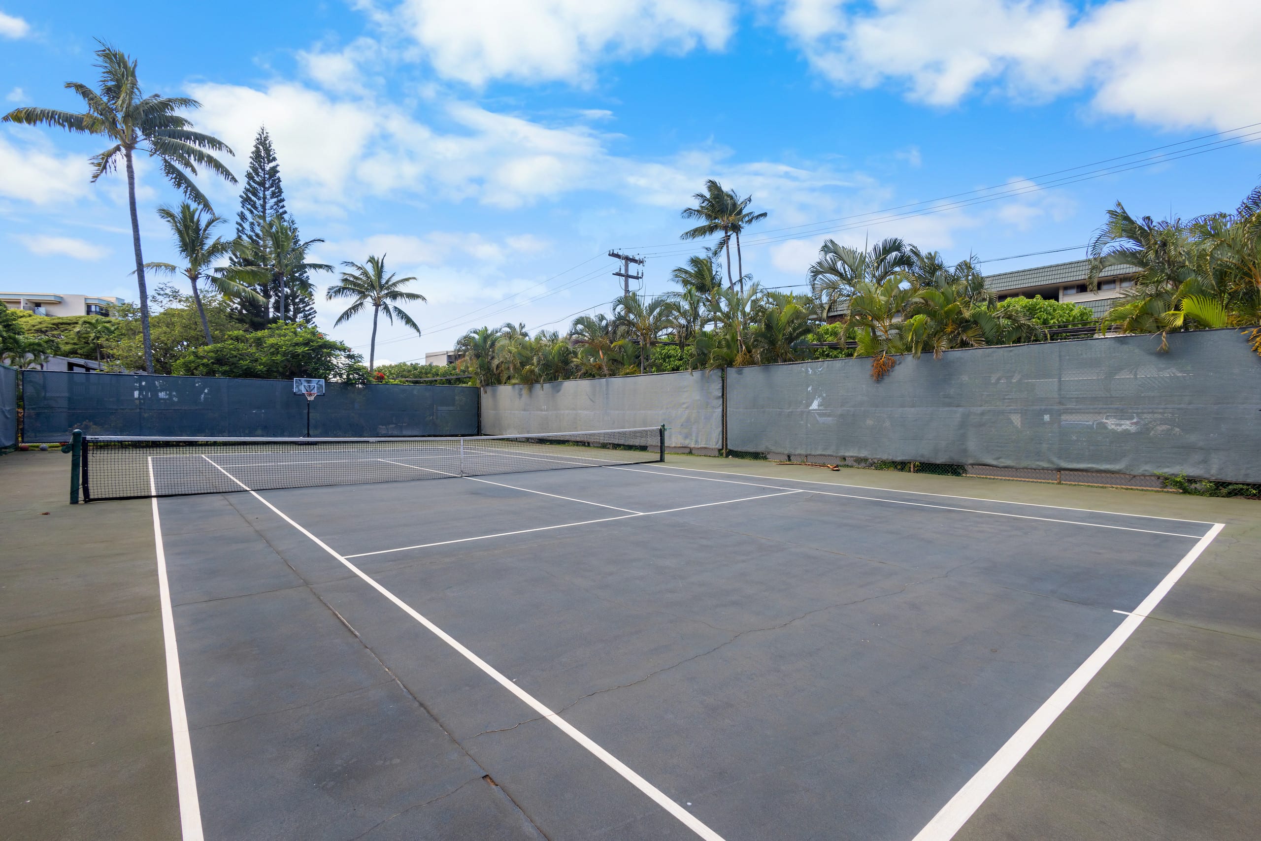 Direct Oceanfront Beach Pohailani Studio - Image 38