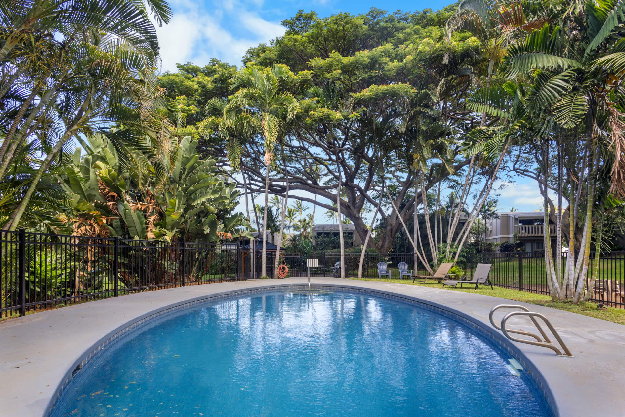 Direct Oceanfront Beach Pohailani Studio - Image 30
