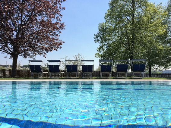 A clear swimming pool reflects the bright sky, with lounge chairs arranged along the water's edge. Lush trees provide shade in the background, enhancing the serene environment within the holiday village.