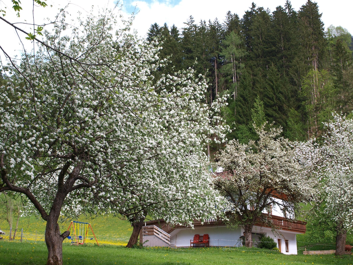 Lush trees adorned with white blossoms create a serene setting around the property. A spacious building with a balcony is nestled amidst the greenery, and a playground is visible in the background, contributing to a family-friendly environment.