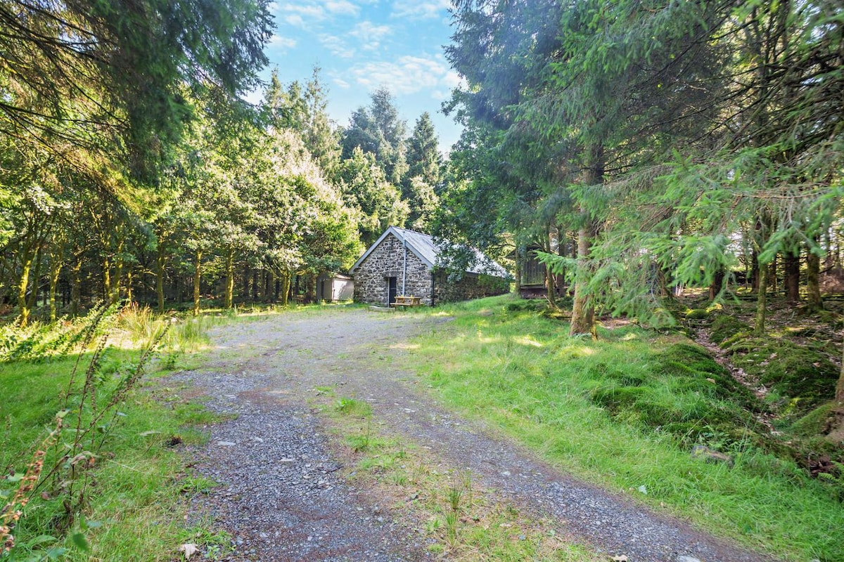 A gravel driveway leads toward a charming stone cottage nestled within a tranquil woodland. Lush greenery surrounds the property, complemented by a clear blue sky above. The cottage's sloped roof and natural stone facade blend harmoniously with the serene landscape.