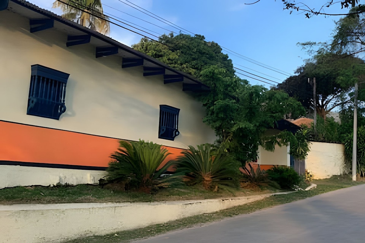 The exterior features a light-colored wall accented by blue shutters and a vibrant orange stripe. Lush greenery surrounds the home, with palm plants and trees lining the pathway. The peaceful street extends alongside, suggesting a serene atmosphere.