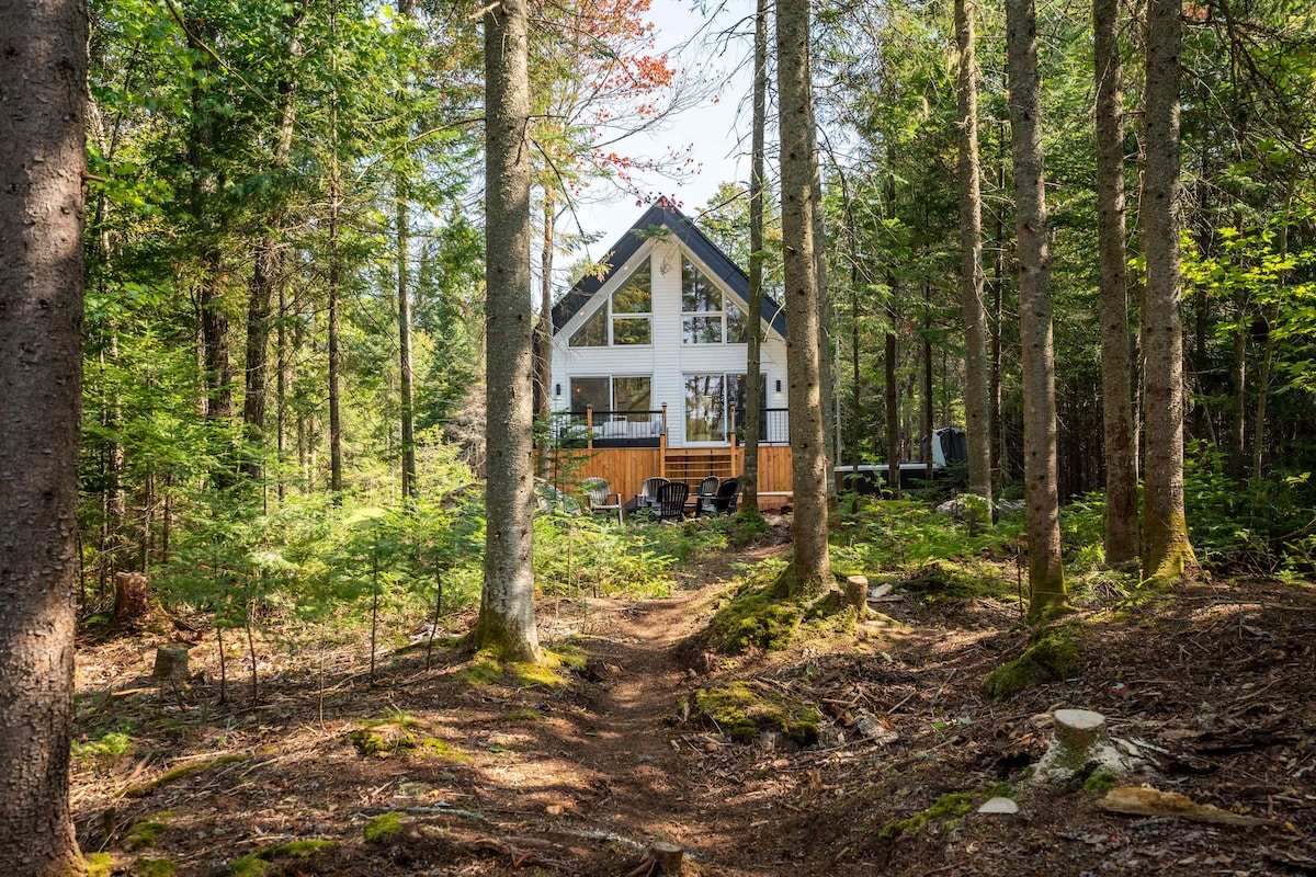 A charming chalet nestled among tall trees in a tranquil forest setting. The structure features an A-frame design with large windows and a wooden deck visible in front. The pathway leading to the chalet is bordered by greenery, creating a serene atmosphere.