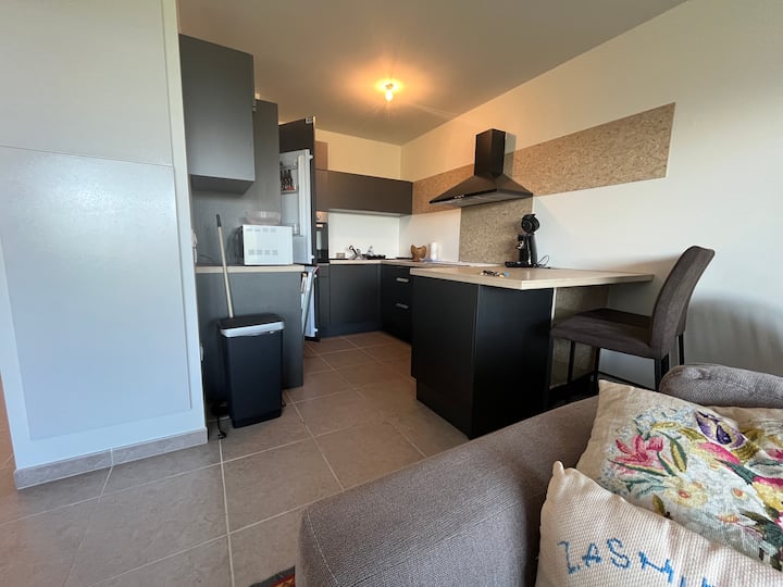 Appartement Cosy Avec Jardin Et Parking à ÉVian - Évian-les-Bains