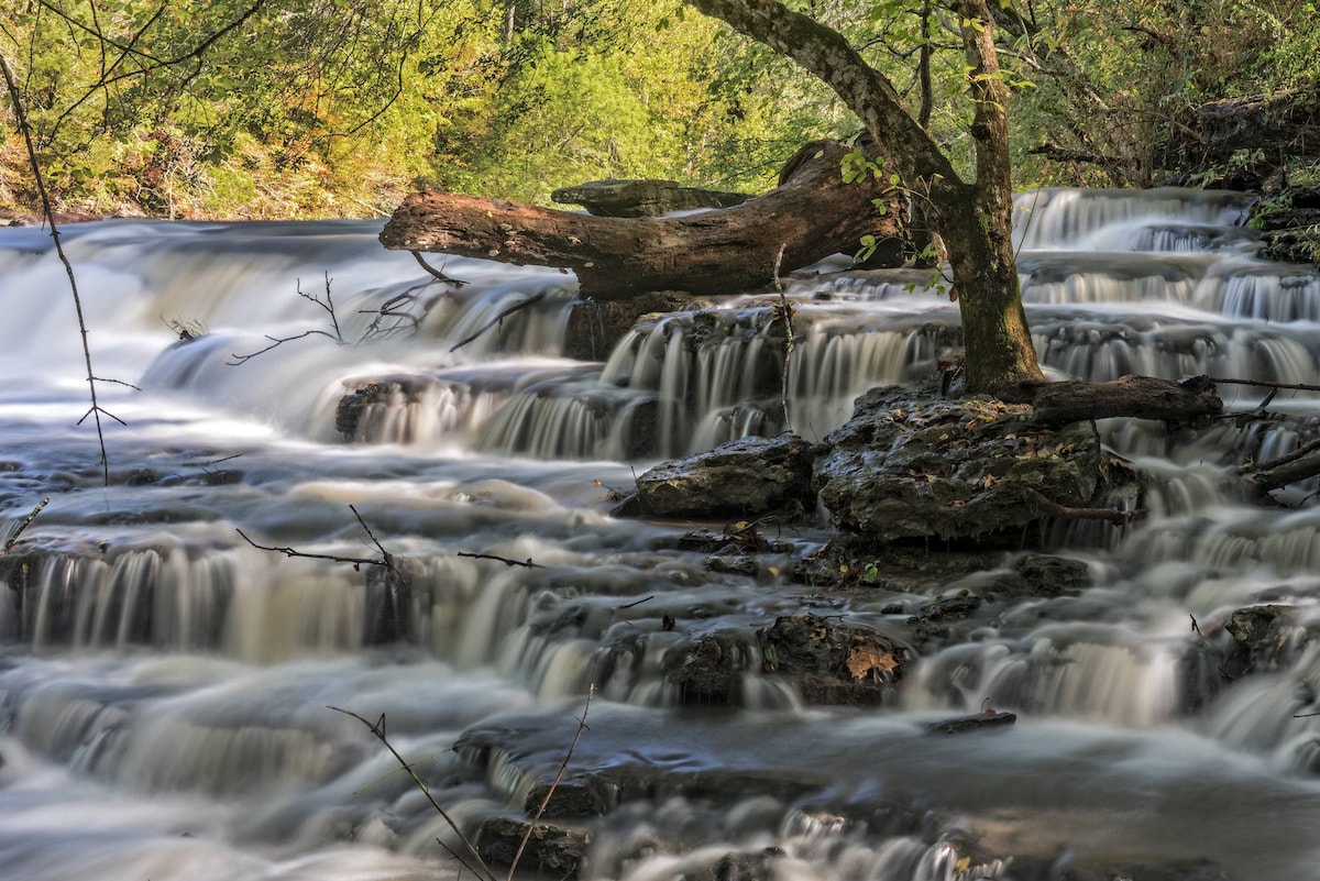 A serene waterfall cascades over rocky ledges, creating smooth streams of water. Surrounding greenery frames the scene, with a sturdy tree arching gracefully over the water. The gentle movement of the cascading water adds a sense of tranquility to this natural landscape.