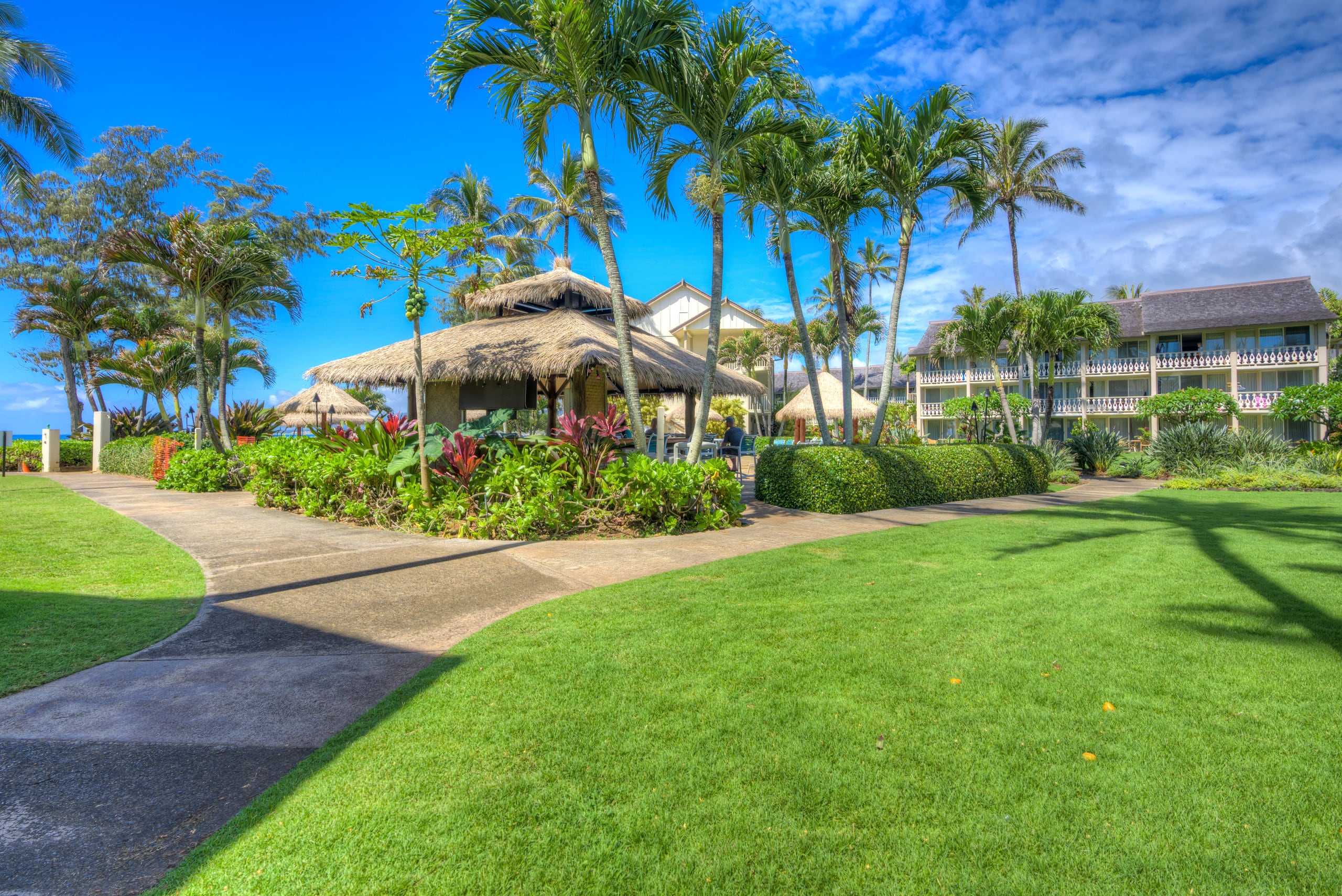Condo in Kapaa · ★4.8 · Studio · 1 bed · 1 shared bath - Image 17