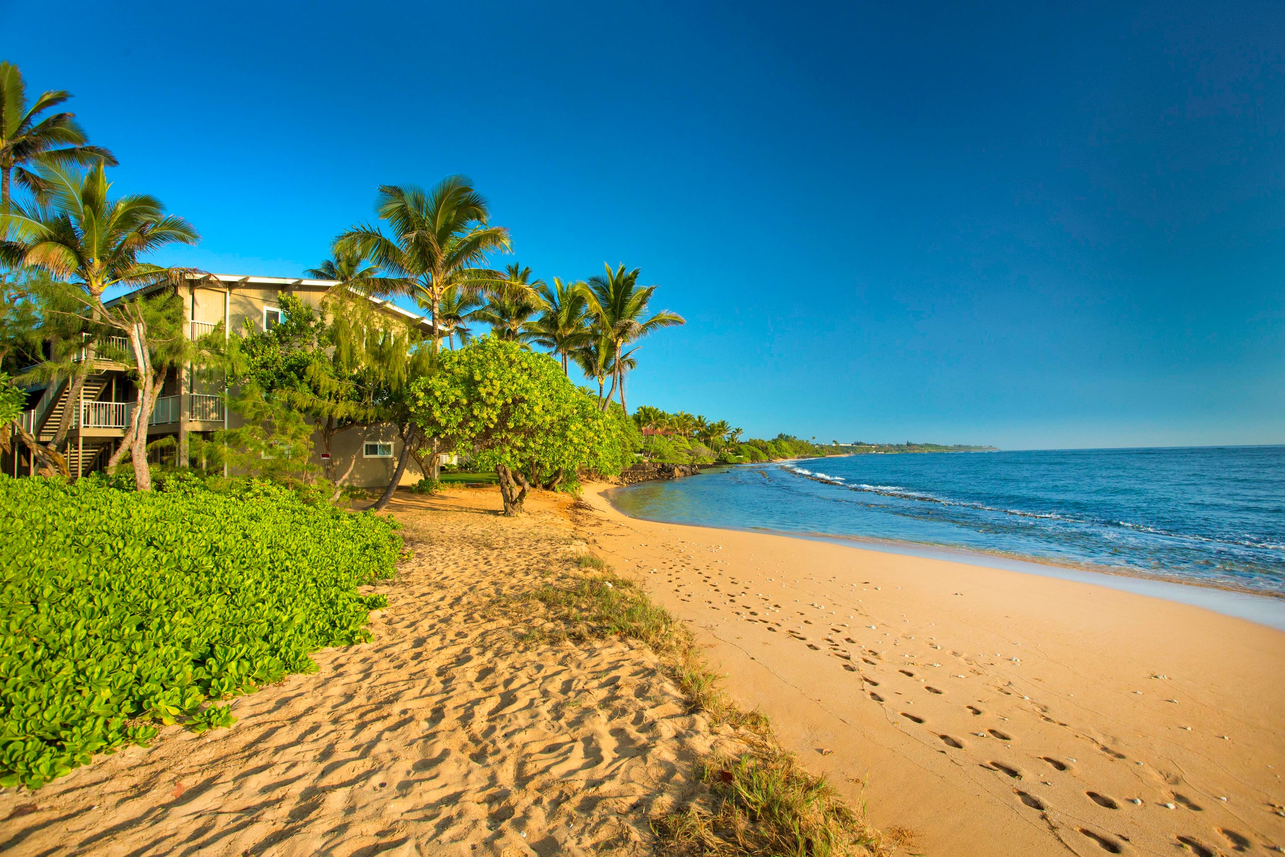 Relaxed condo w/ lanai, pool & BBQ grill - Photo 17