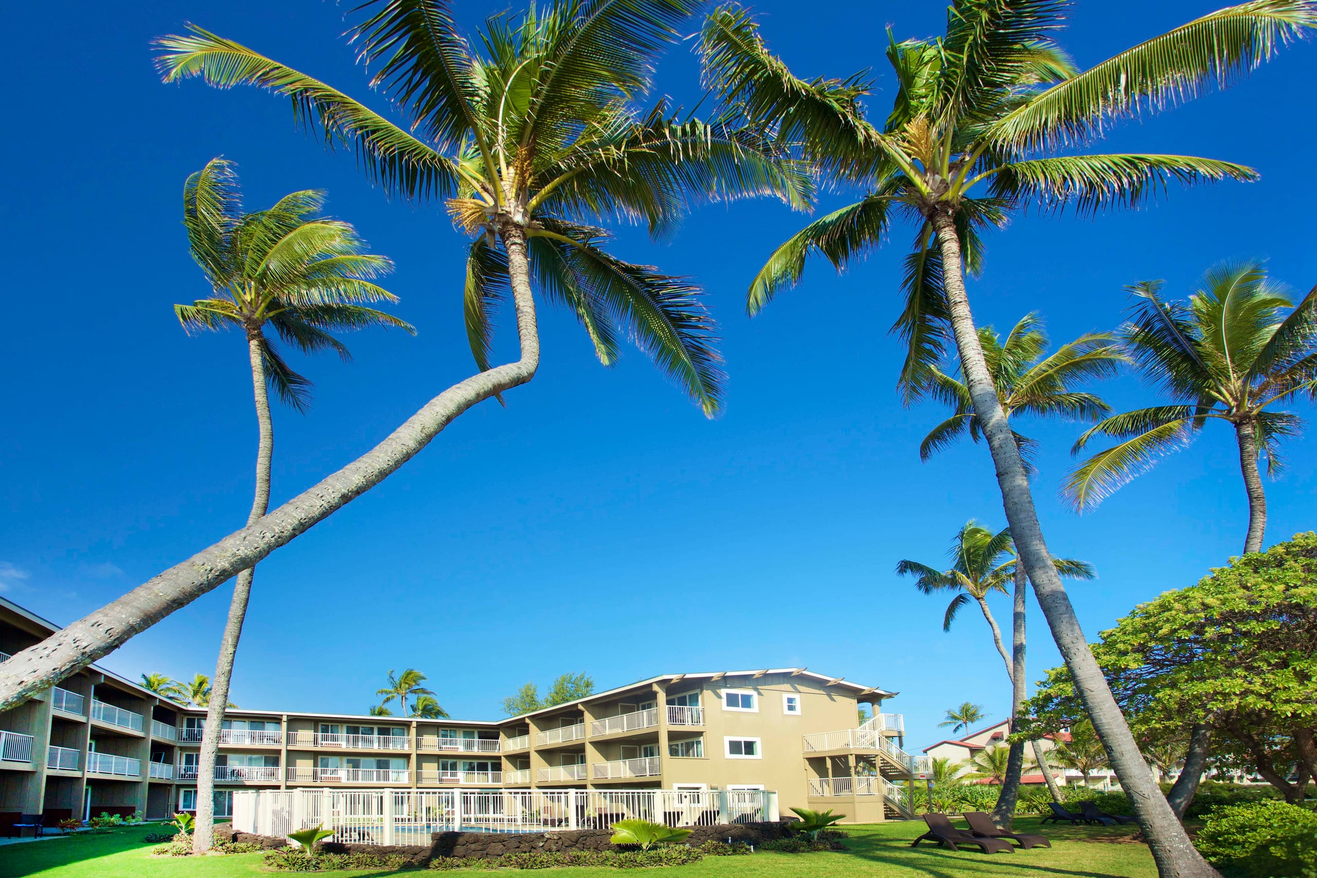 Relaxed condo w/ lanai, pool & BBQ grill - Photo 16