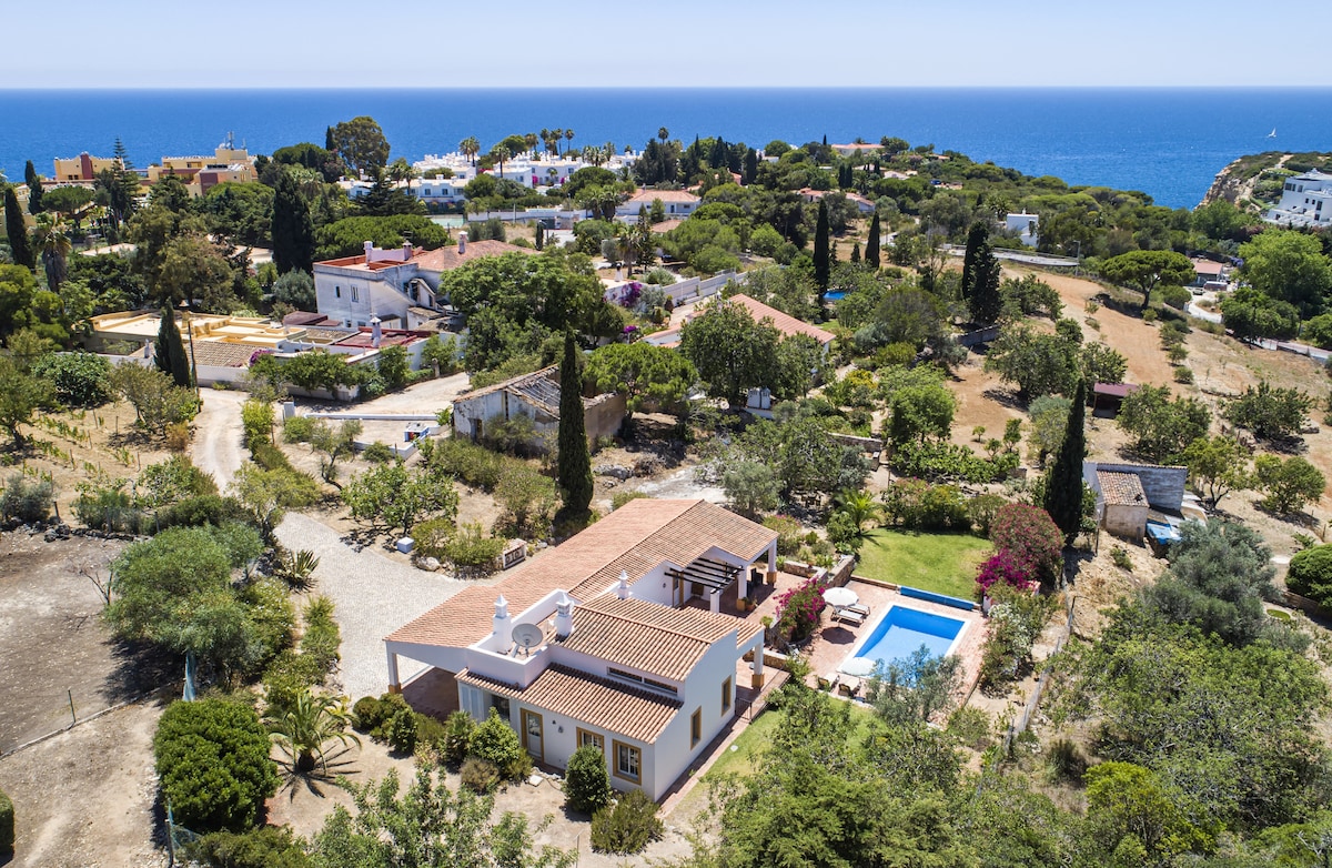 Aerial view of Casa Teresa, showcasing its traditional structure surrounded by lush greenery and colorful flowers. The private pool area is visible, with the coastline in the background. The fenced property features spacious outdoor terraces and is situated close to nature, creating a serene atmosphere.