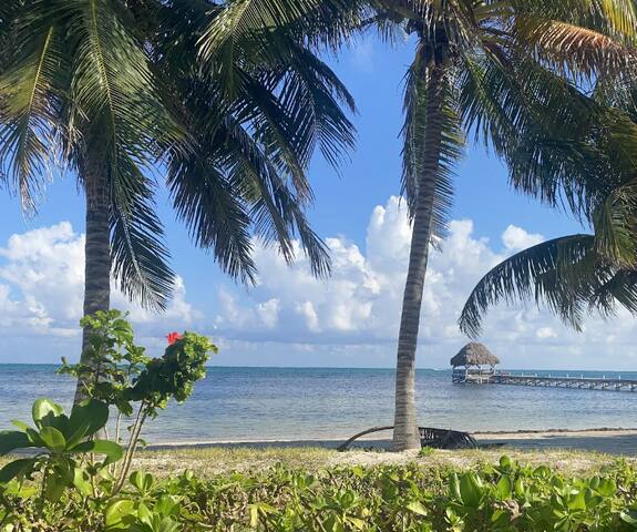 5 BR Beachfront Luxury Holiday Home w/ Pool / Pier gallery image 3