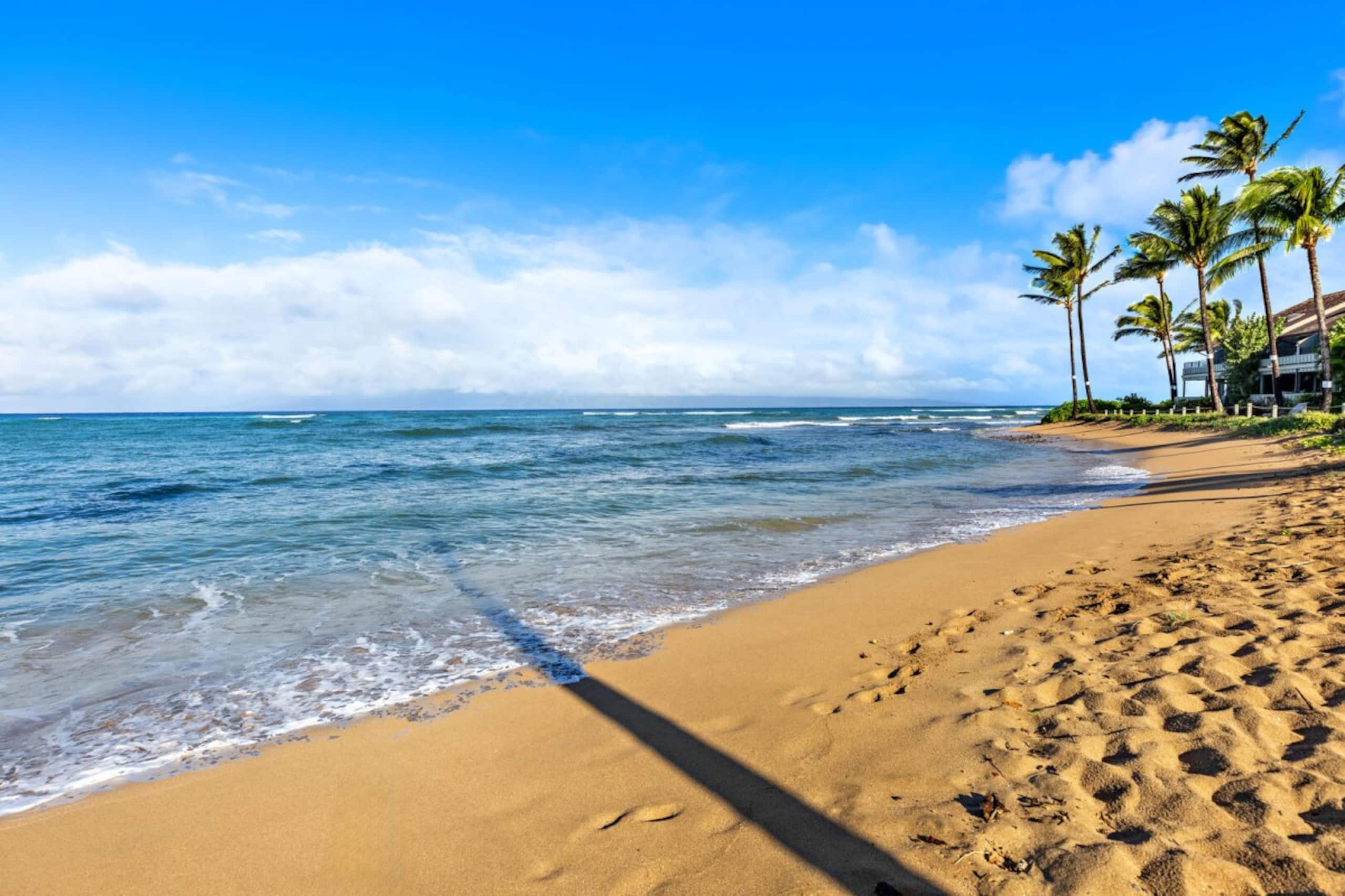 Kahana Village 37 - Image 49