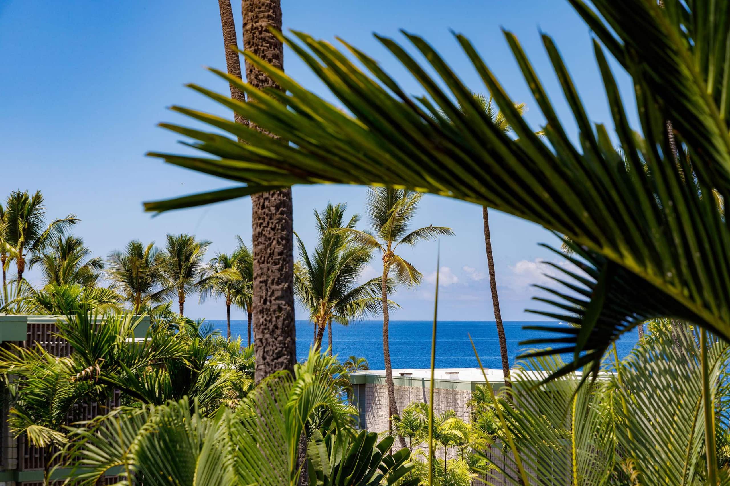 Condo in Kailua-Kona · ★4.78 · 1 bedroom · 2 beds · 1 private bath - Image 4