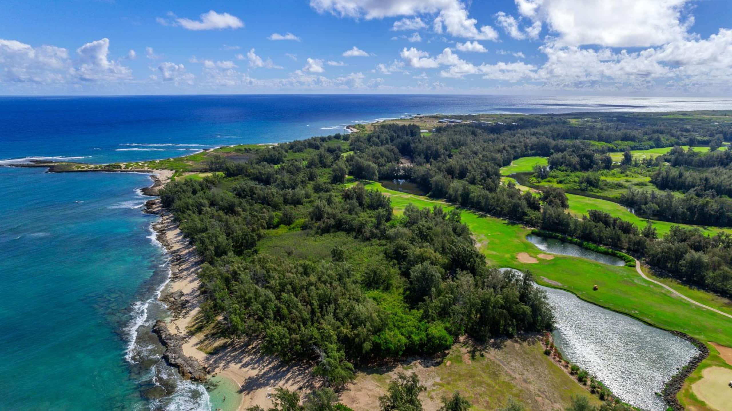 Villa in Kahuku · ★4.87 · 4 bedrooms · 5 beds · 3 private baths - Image 42