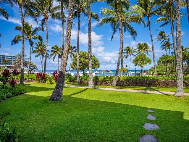 Villa 104: Ocean View Turtle Bay Beachfront gallery image 2