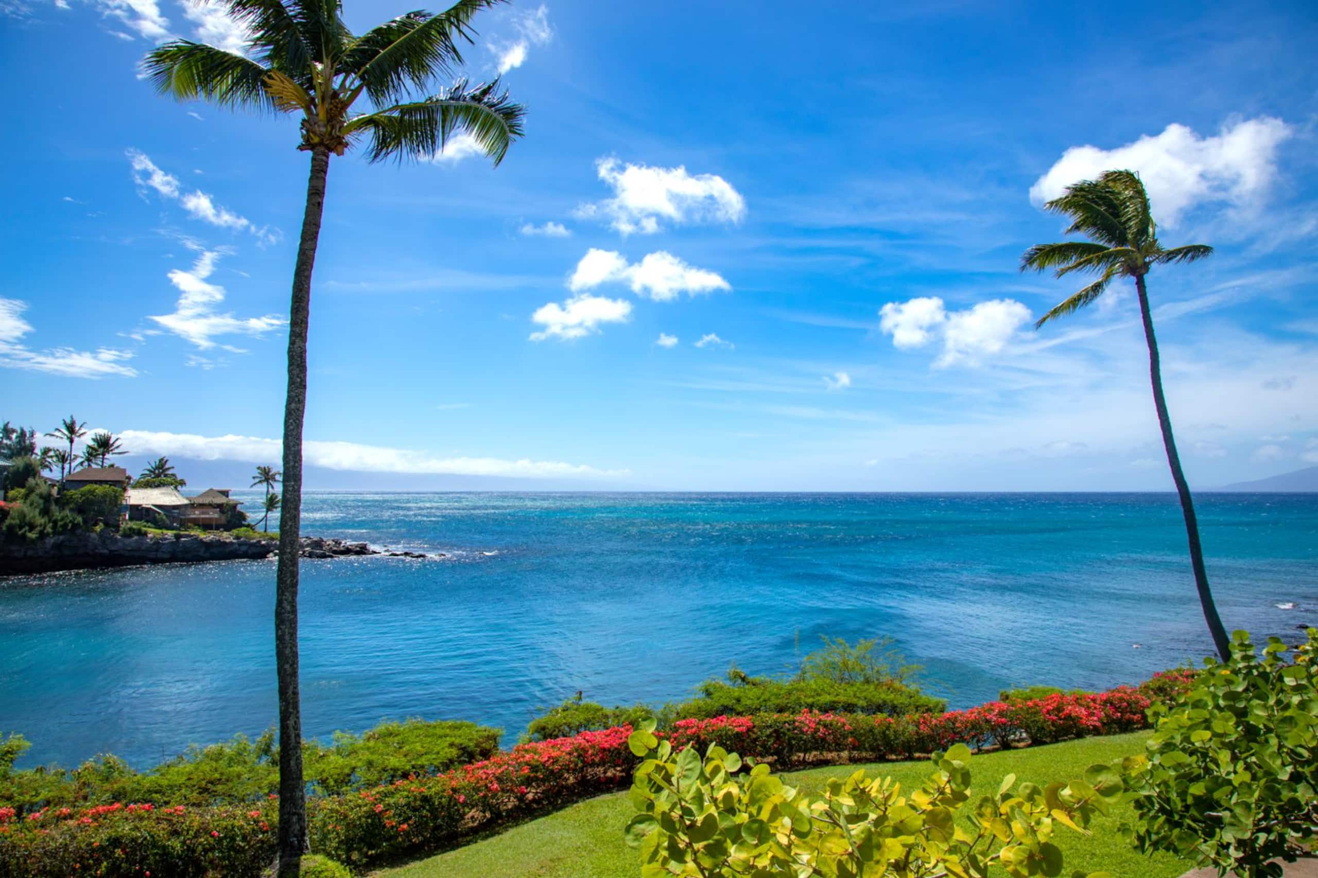 Condo in Lahaina · ★4.87 · 1 bedroom · 2 beds · 1 bath - Image 1