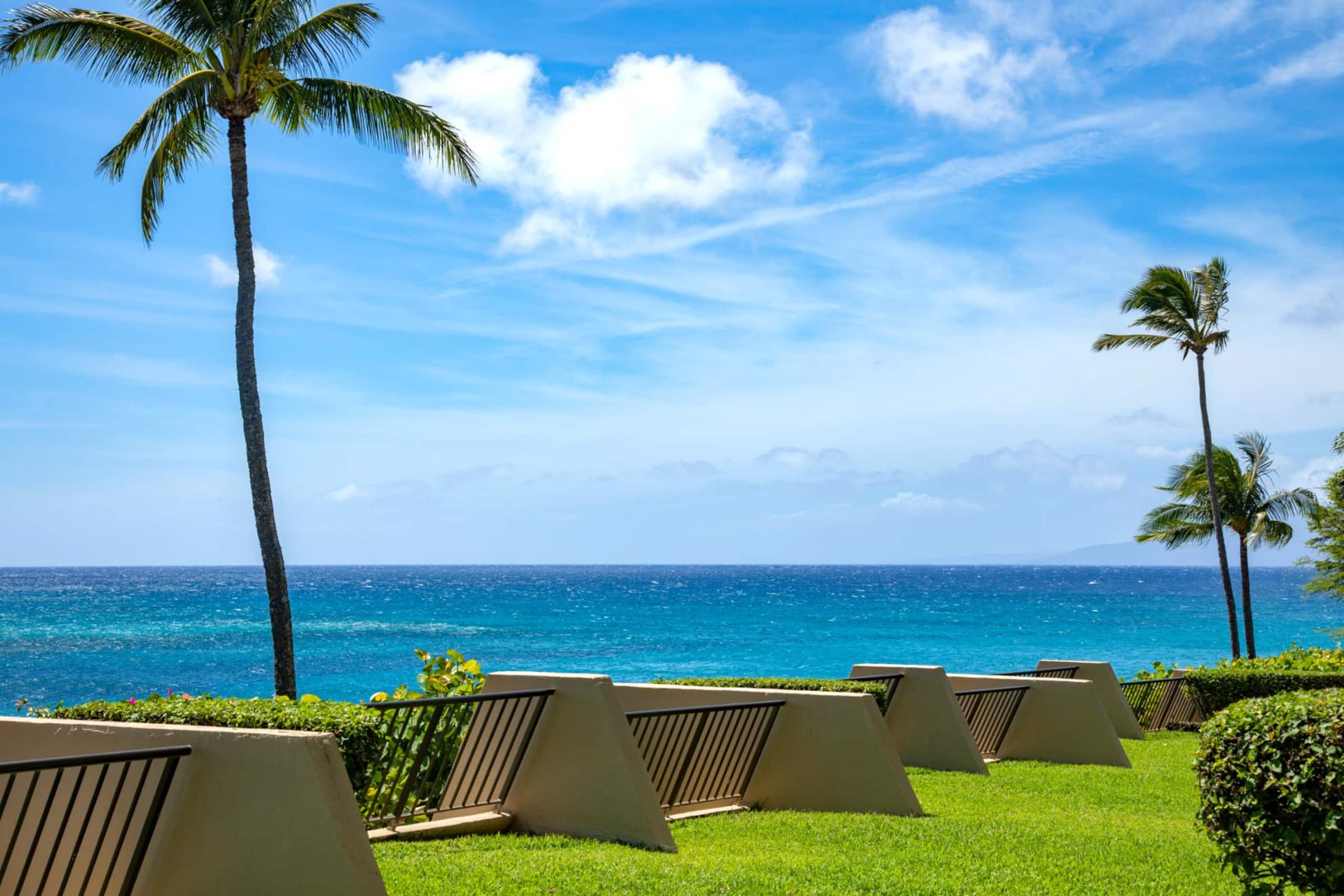 Condo in Lahaina · ★4.87 · 1 bedroom · 2 beds · 1 bath - Image 6