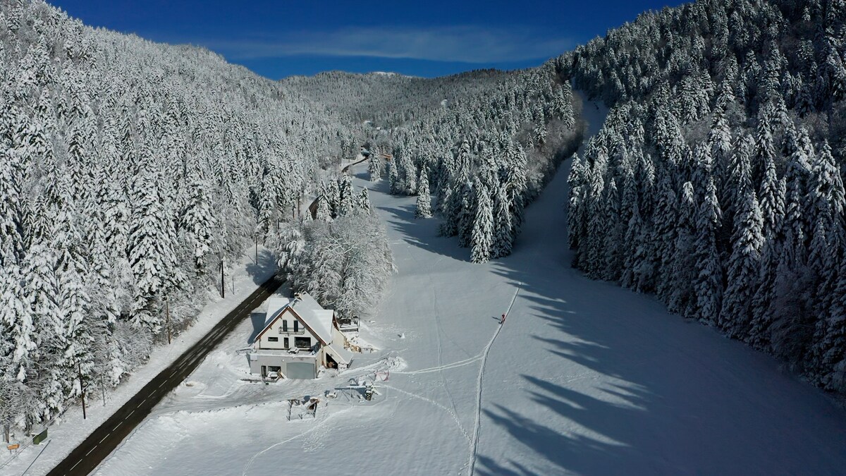 A snow-covered landscape stretches across the scene, with a welcoming guesthouse nestled among frosted trees. A snow-lined road leads into the forest, while the ski slopes rise gently in the background, creating a tranquil winter atmosphere.