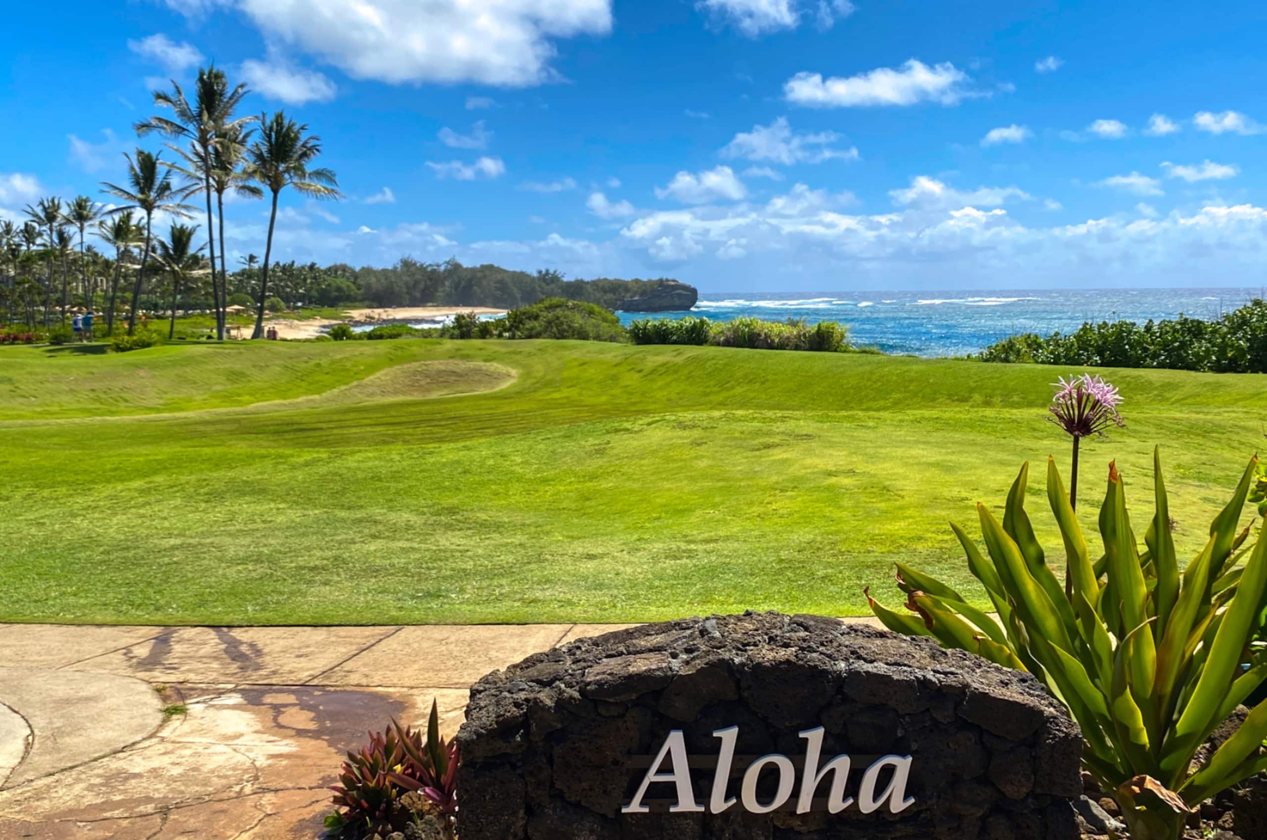 Condo in Koloa · ★4.91 · 2 bedrooms · 2 beds · 2 baths - Photo 34