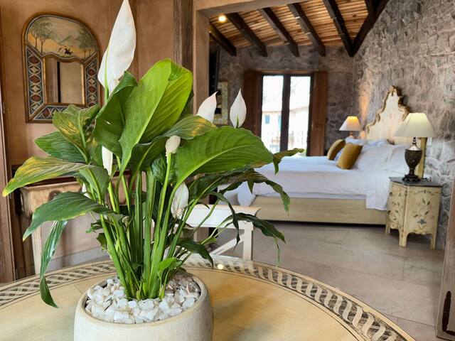 Andrea's Hospitality Management managed Airbnb listing 2