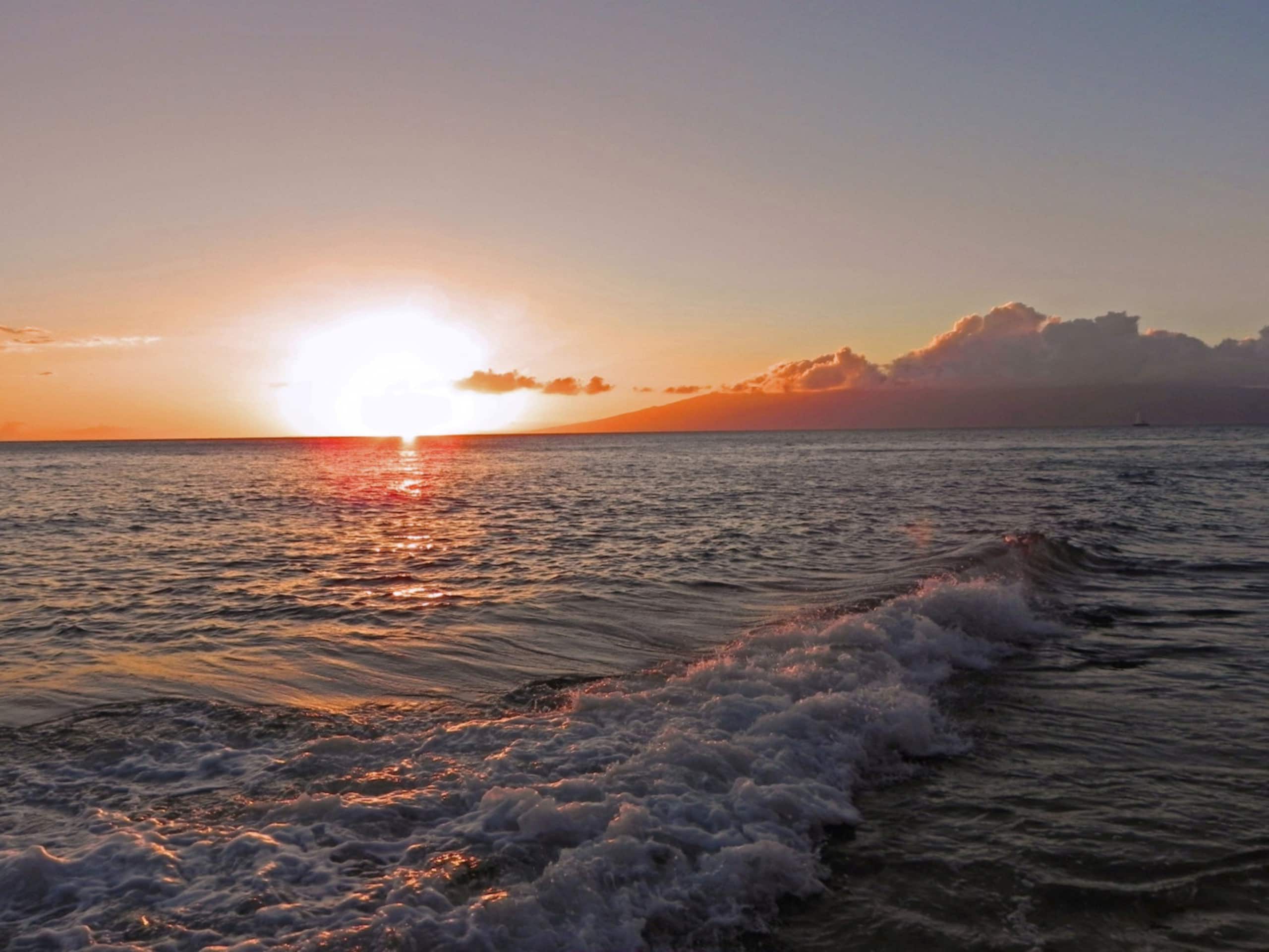 Condo in Lahaina · ★5.0 · 1 bedroom · 2 beds · 1 bath - Image 44