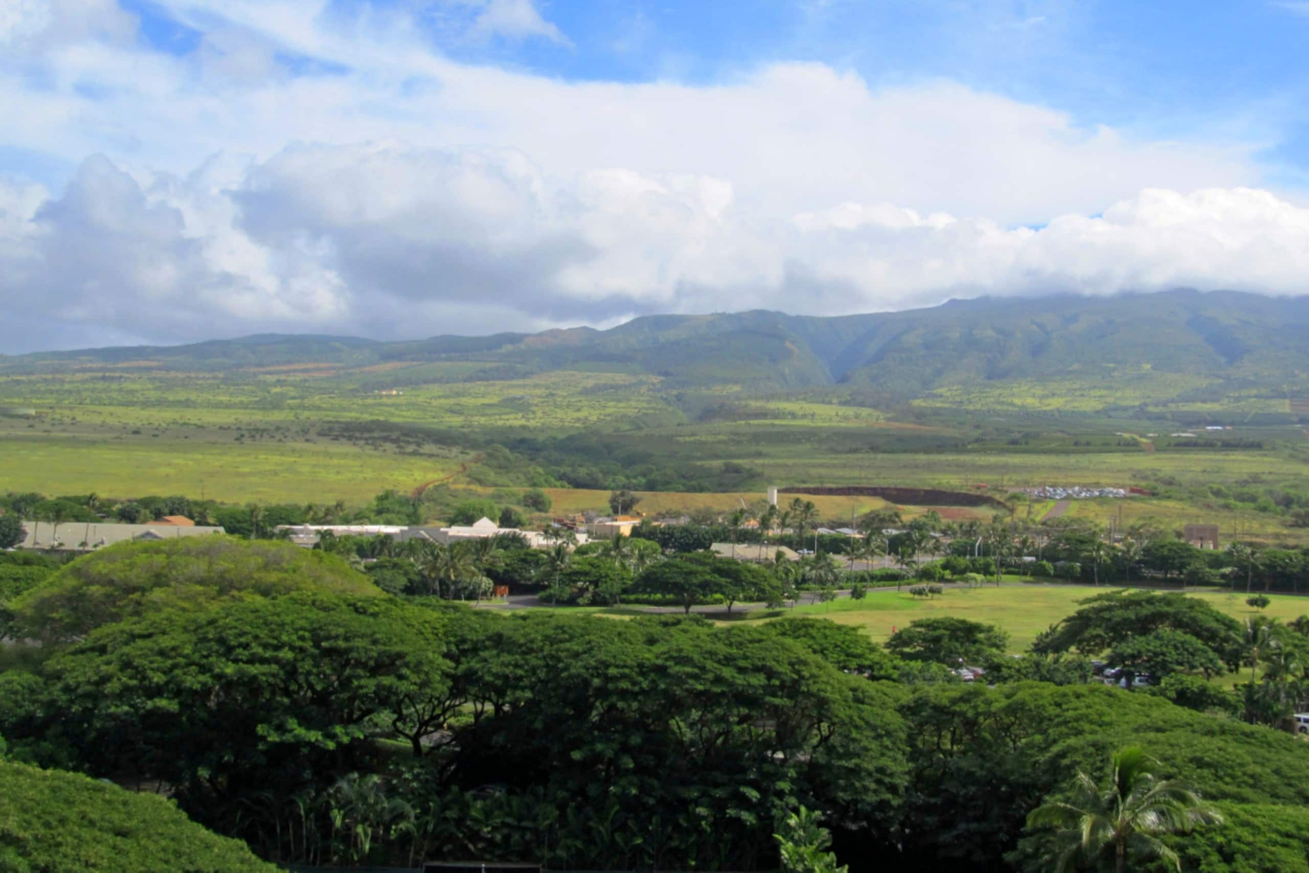 Condo in Lahaina · ★5.0 · 1 bedroom · 2 beds · 1 bath - Image 45