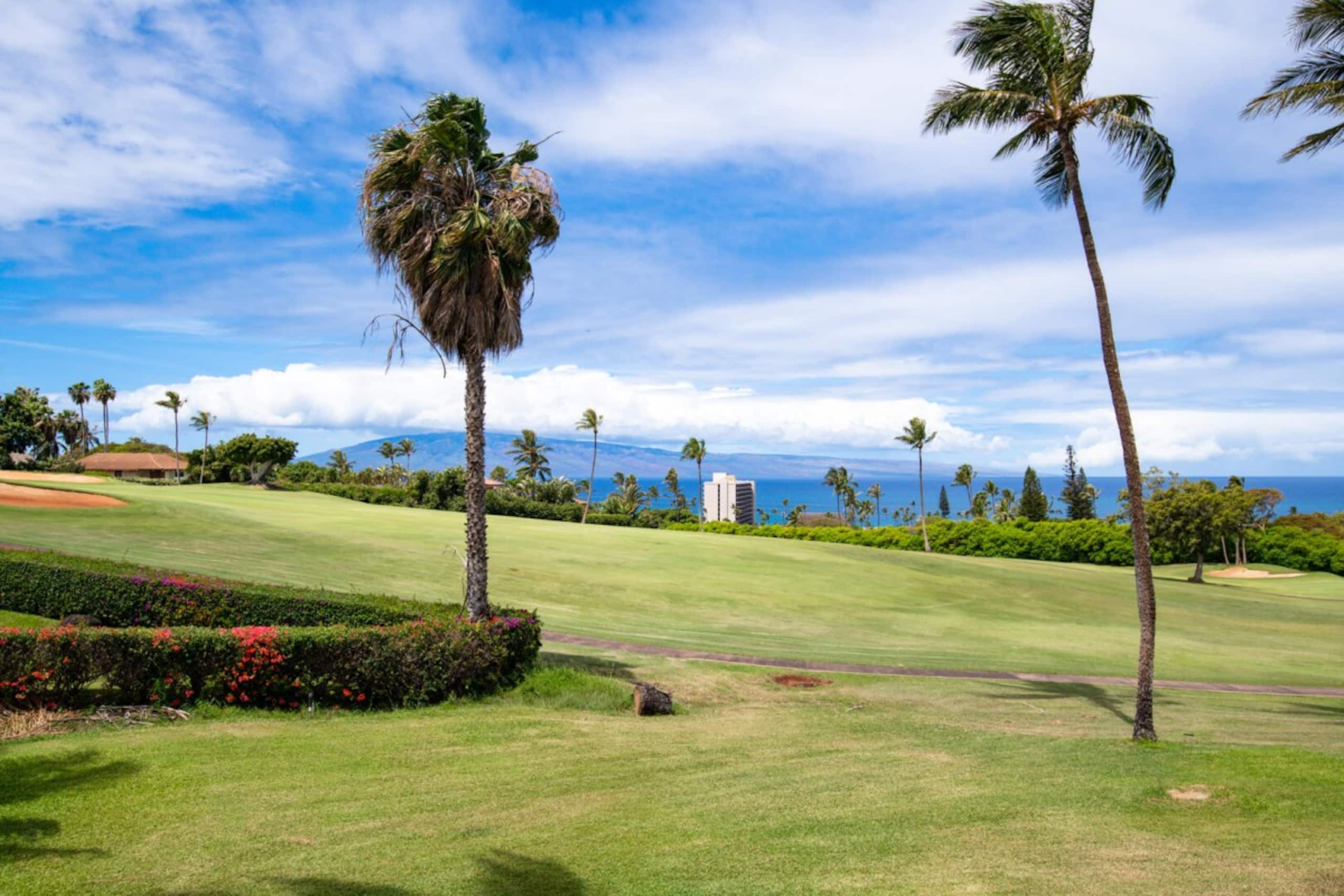 Condo in Lahaina · ★5.0 · 2 bedrooms · 4 beds · 2 baths - Image 22