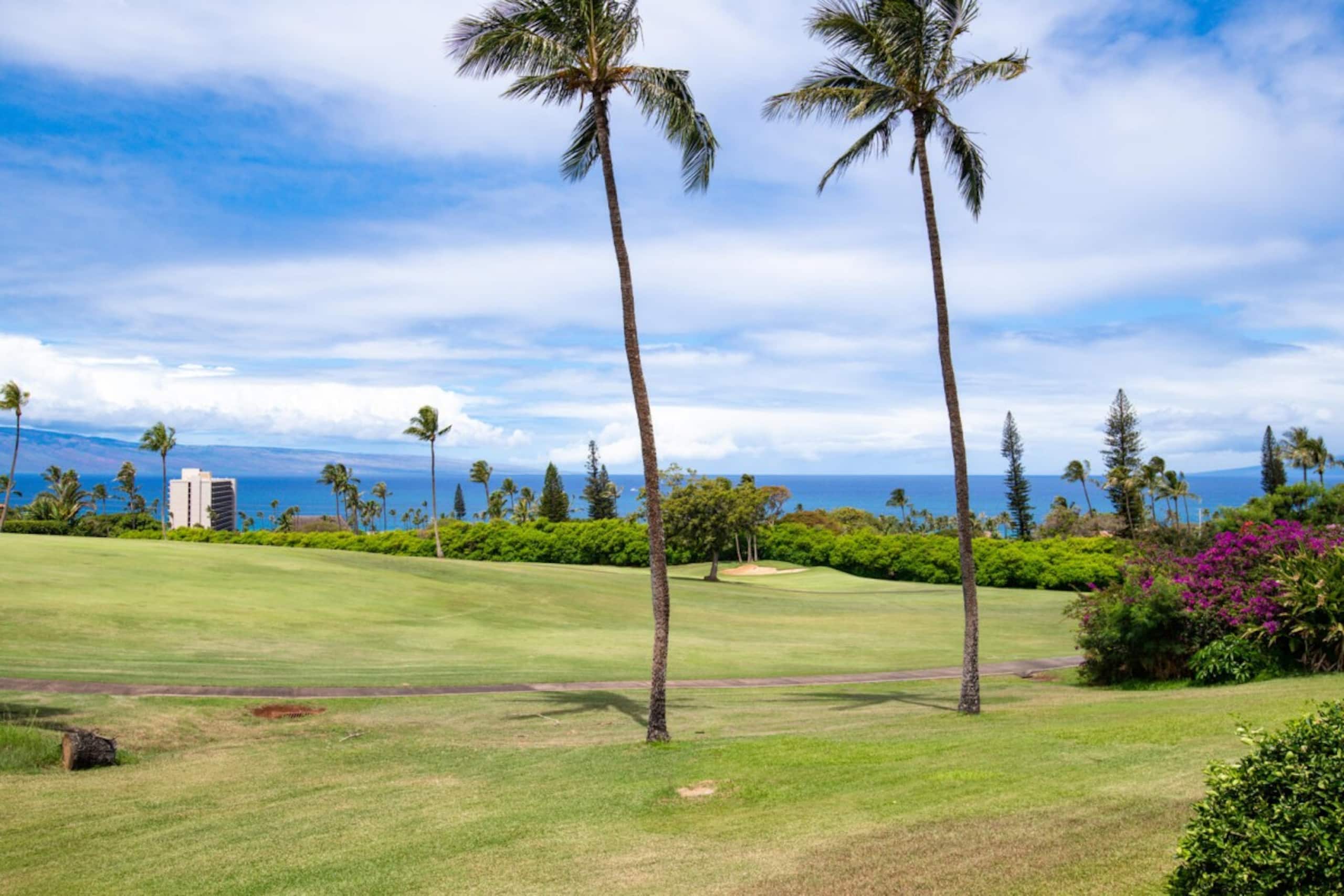 Condo in Lahaina · ★5.0 · 2 bedrooms · 4 beds · 2 baths - Image 23