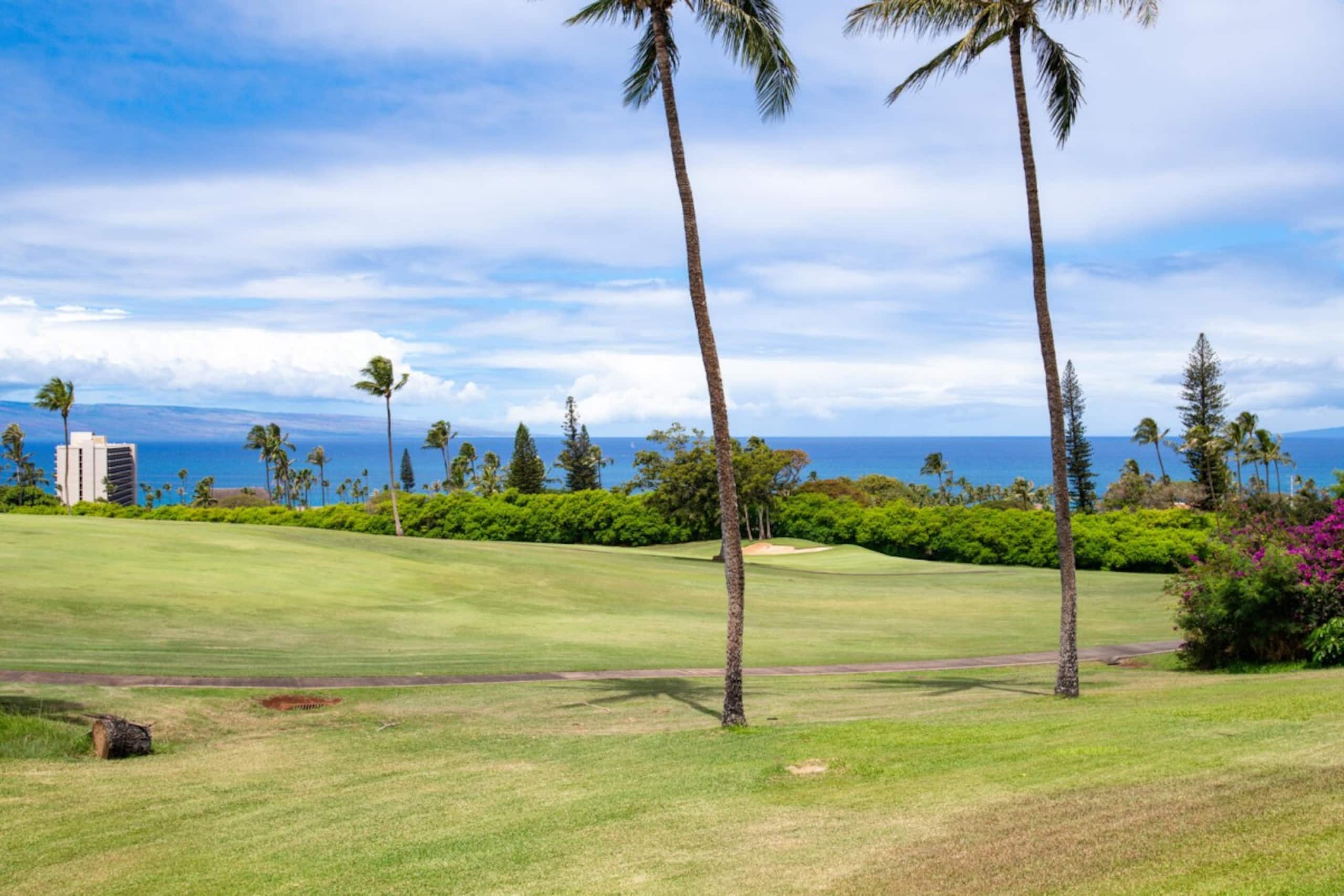 Condo in Lahaina · ★5.0 · 2 bedrooms · 4 beds · 2 baths - Image 24