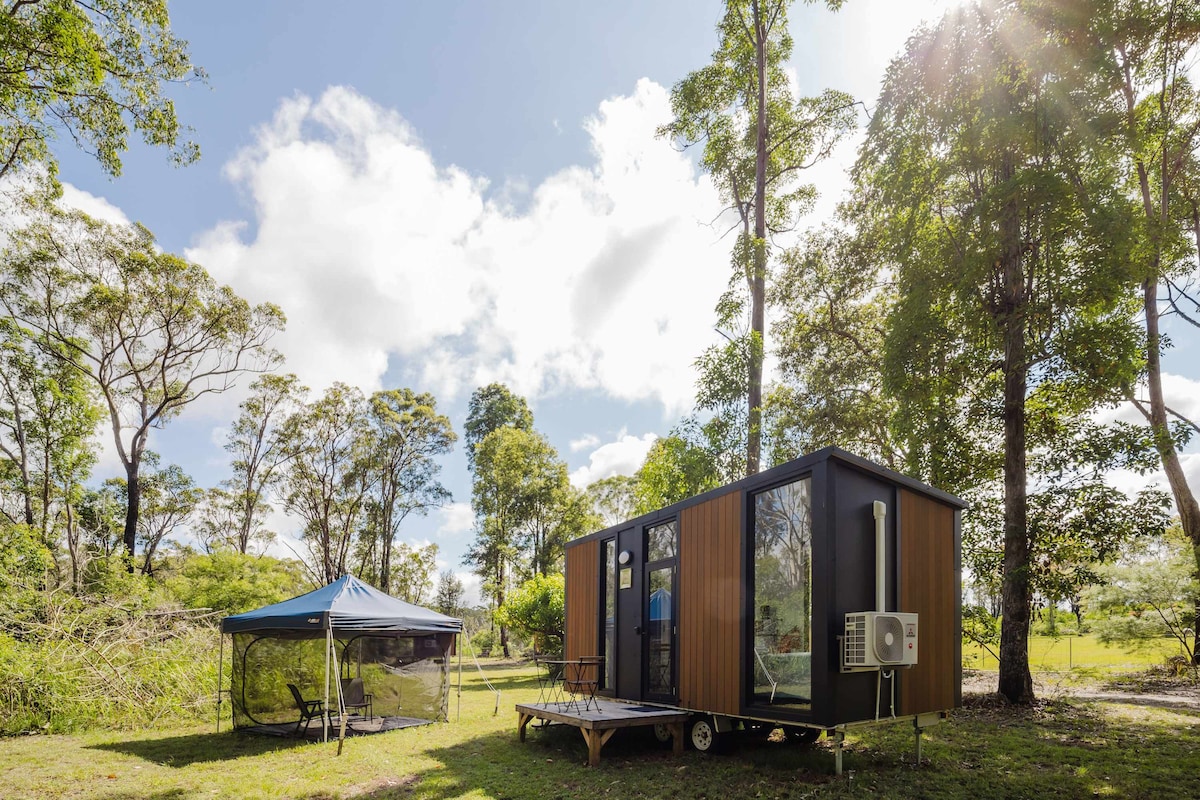 A compact tiny house is positioned among tall trees, surrounded by lush greenery. A blue canopy tent is set up nearby, offering an additional outdoor space. Sunlight streams through the leaves, creating a serene atmosphere.