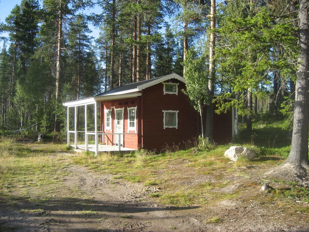A small red holiday house is situated amidst trees, featuring a roofed terrace enclosed by white railings. The house stands on a grassy area with scattered stones, surrounded by tall pine trees and soft sunlight filtering through the foliage.