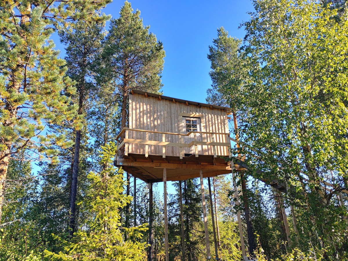 A cabin is perched on stilts among tall trees, surrounded by a natural landscape. The wooden structure features a small window and a wrap-around balcony, offering views of the greenery. Sunlight filters through the leaves, creating a bright outdoor setting.