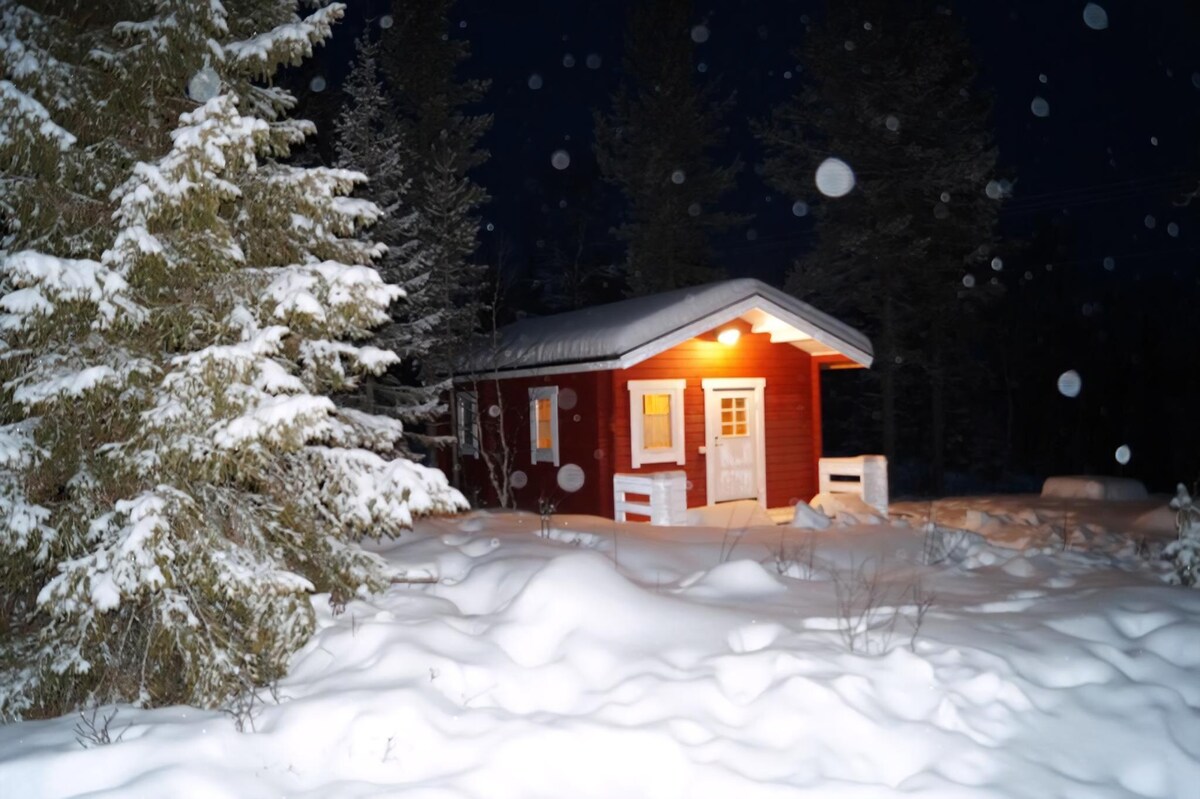 A quaint red cabin is nestled among snow-laden trees, illuminated by a warm exterior light. Surrounding the cabin, untouched snow blankets the ground, creating a serene winter landscape.
