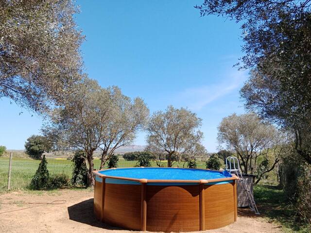 Mas Darovie gallery image 3