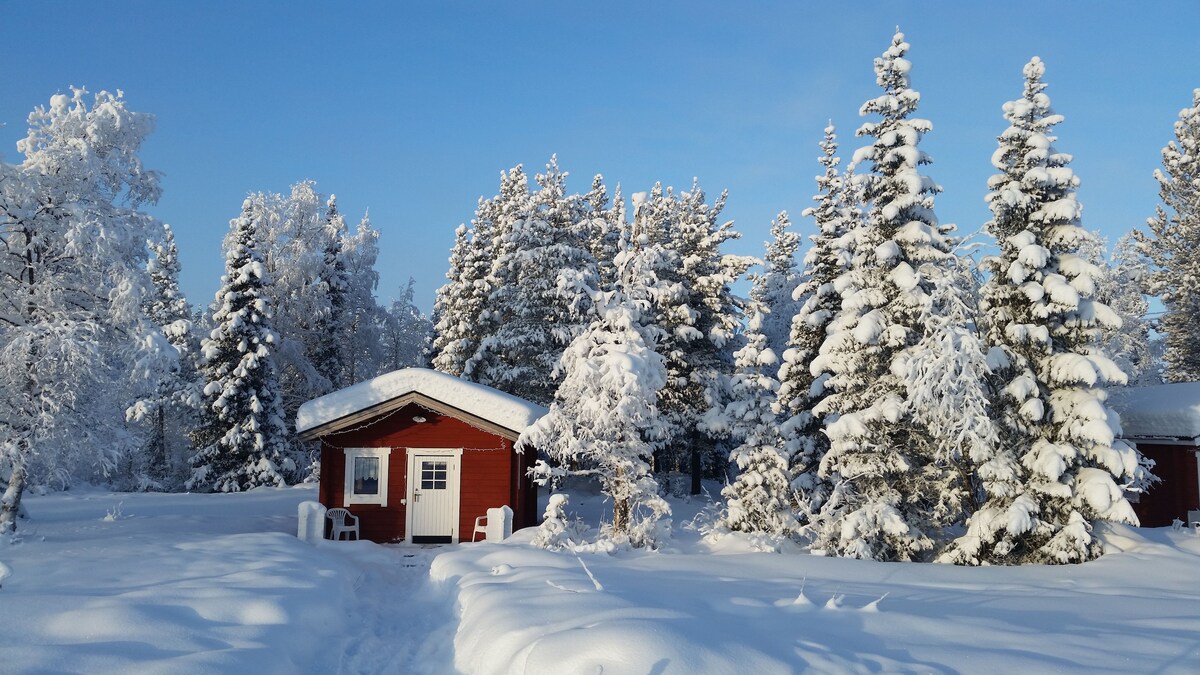 A charming red holiday house is framed by snow-covered evergreen trees, creating a serene winter landscape. A snow-covered path leads to the front door, which is flanked by two white chairs. The scene is illuminated by bright blue skies, enhancing the tranquil atmosphere.