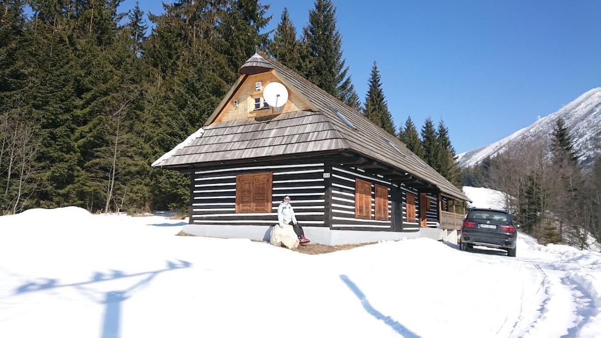 A traditional wooden house with a sloped roof is nestled in a snowy landscape, surrounded by evergreen trees. The building features brown wooden planks and multiple windows with shutters. A parked vehicle is visible nearby, with a clear blue sky above.