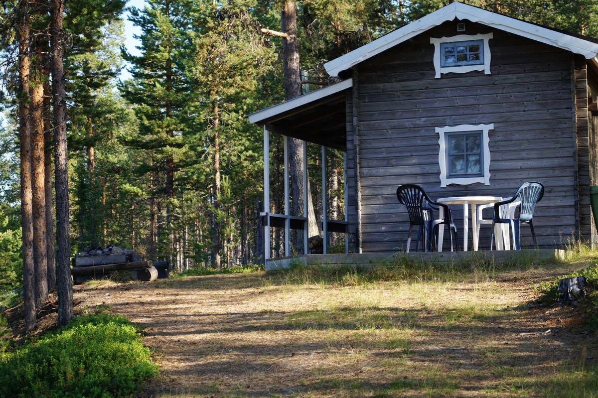 A wooden house is surrounded by a forest, featuring a porch with a table and chairs. The entrance is framed by large windows, allowing natural light to enhance the interior. A natural path leads towards the house, blending with the surrounding greenery.