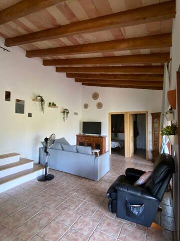 The Paradise gallery image 5