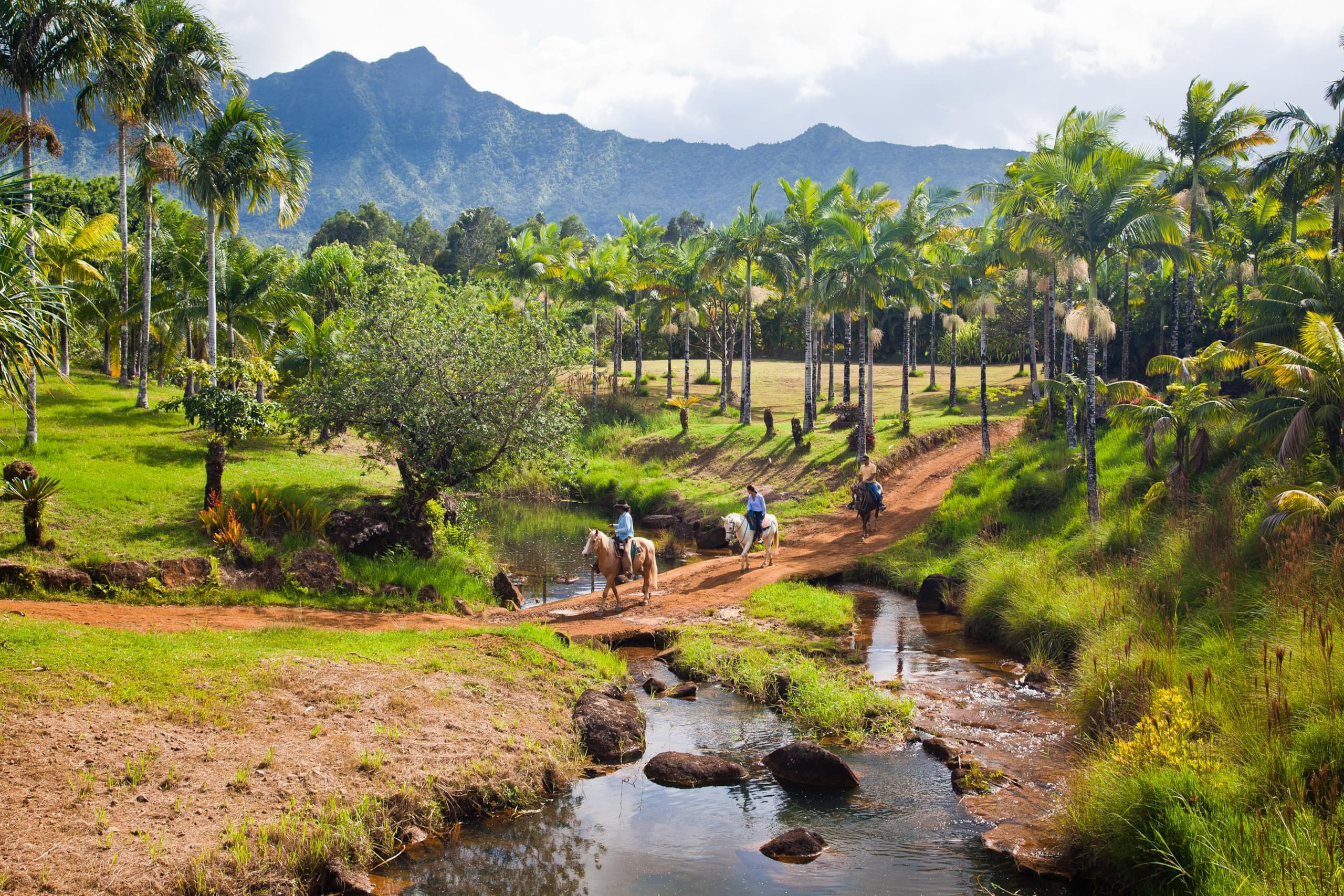 Home in Hanalei · ★4.95 · 4 bedrooms · 6 beds · 3 baths - Image 52