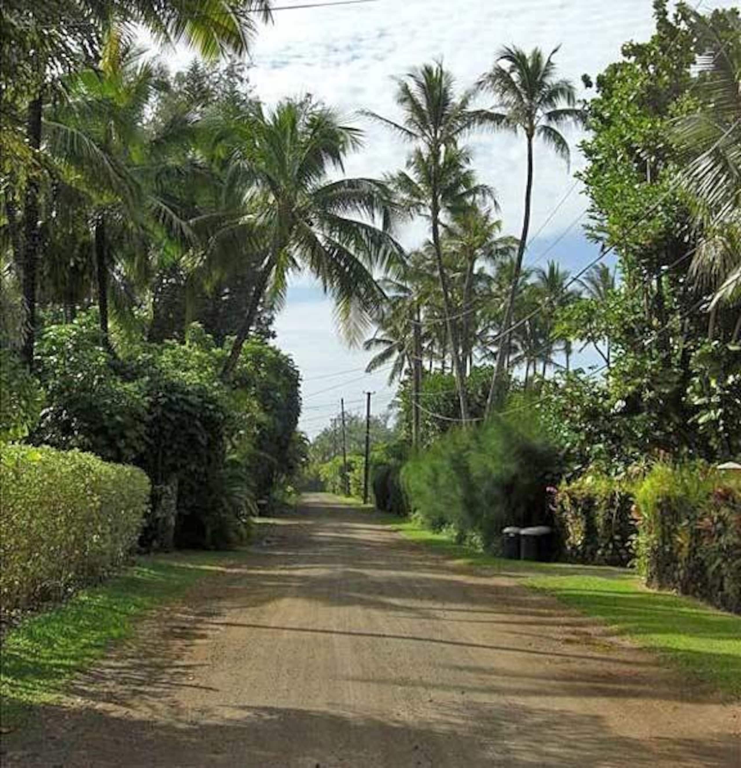 Home in Hanalei · ★4.95 · 4 bedrooms · 6 beds · 3 baths - Image 33