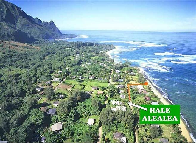 Hale Alealea Beach House, one house back from Kepu gallery image 2