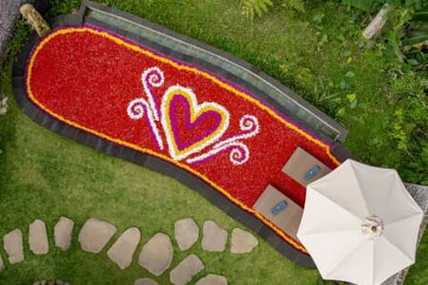 Stunning Wooden Villa With Infinity Pool