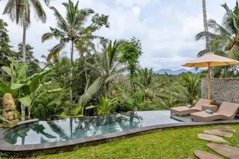 Stunning Wooden Villa With Infinity Pool