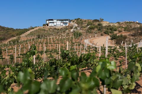 Kasa Kefi -3bdrm+Studio- Luxury Vineyard Retreat