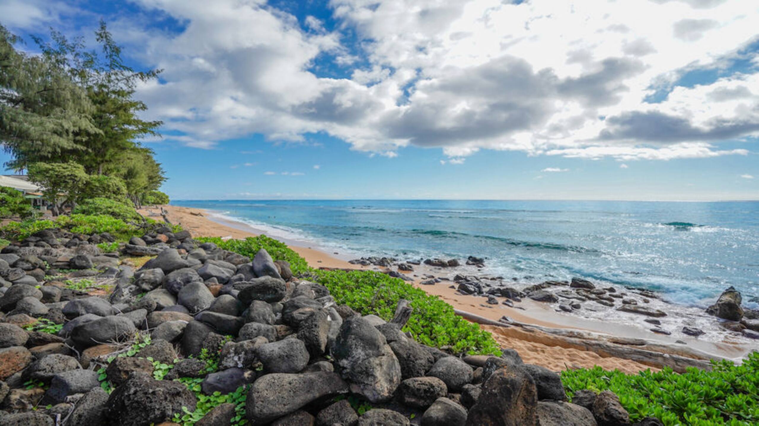 Condo in Kapaa · ★5.0 · 2 bedrooms · 2 beds · 2 baths - Image 44
