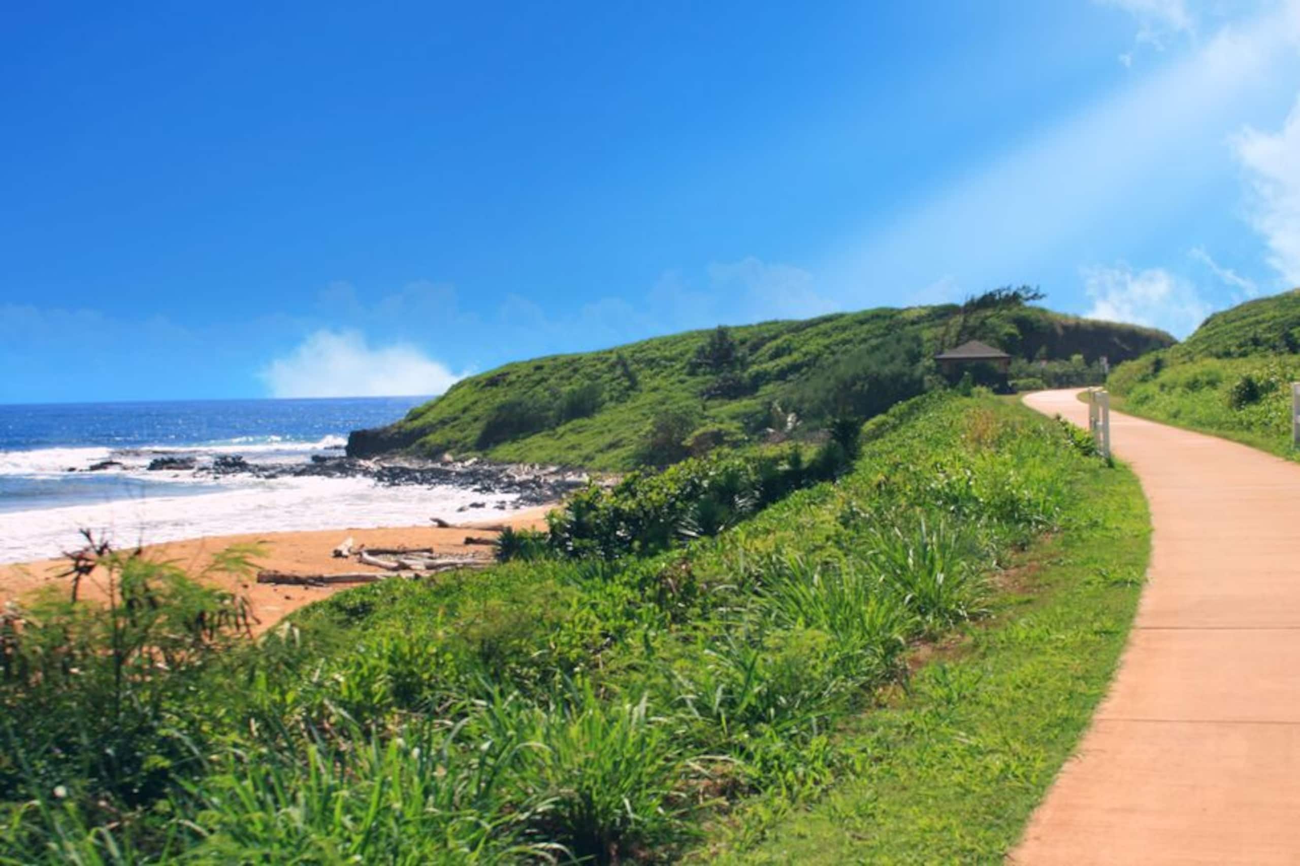 Condo in Kapaa · ★5.0 · 2 bedrooms · 2 beds · 2 baths - Image 61