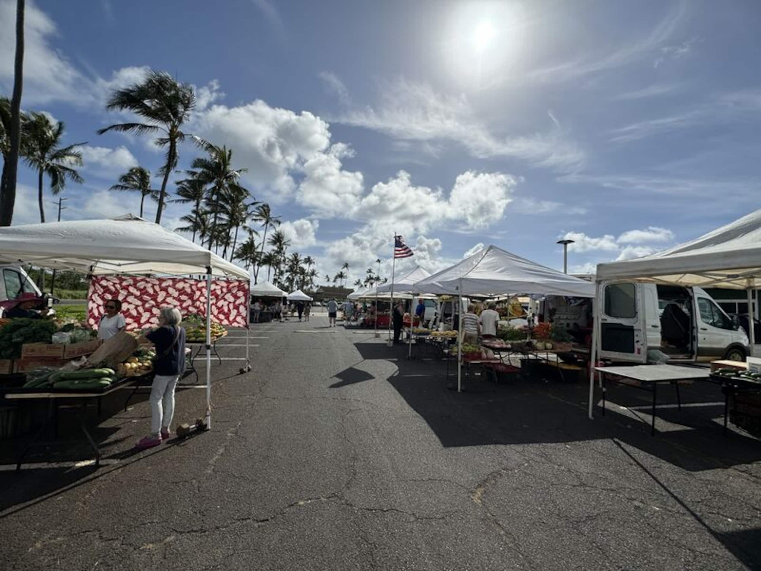 Condo in Kapaa · ★5.0 · 2 bedrooms · 2 beds · 2 baths - Image 53