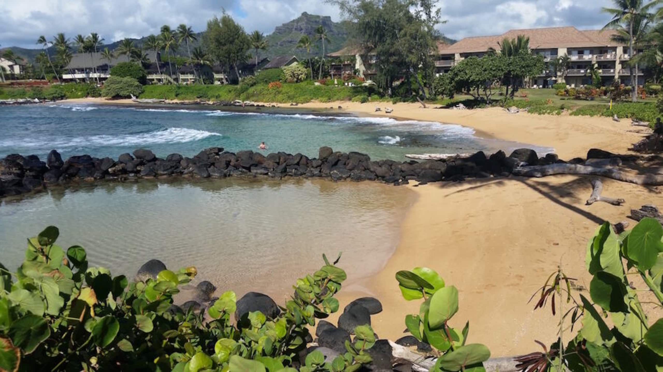 Condo in Kapaa · ★5.0 · 2 bedrooms · 2 beds · 2 baths - Image 43