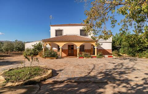 Cozy home in Setenil de las Bodegas.
