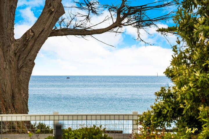 The Esplanade- Beach front, Luxury, Sleeps 8, gallery image 4